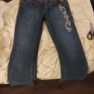 Women's Blue Embroidered Jeans